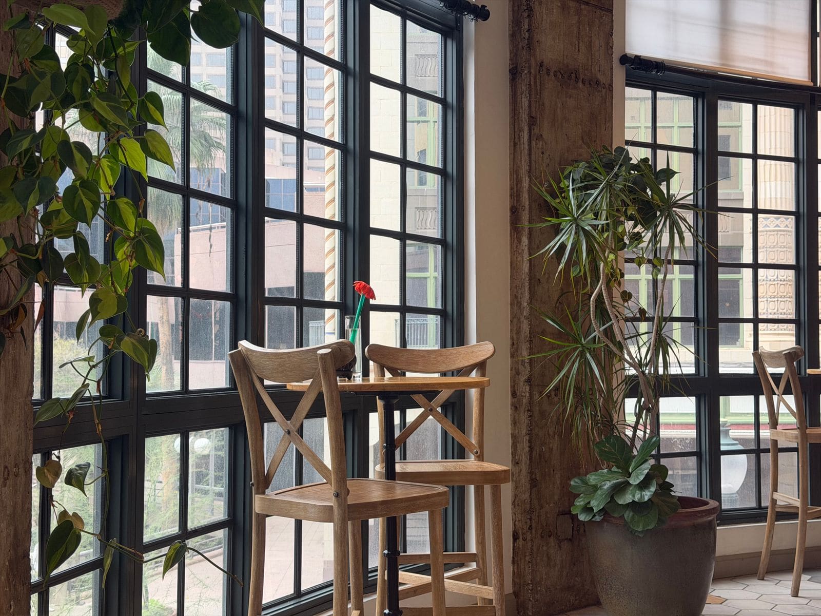 Bright cafe interior with large windows and plants