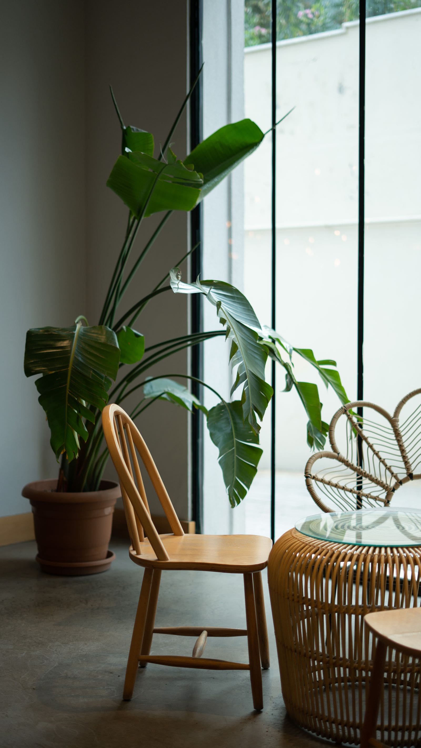 Bright Studio in North Vancouver - Room 4 of 5