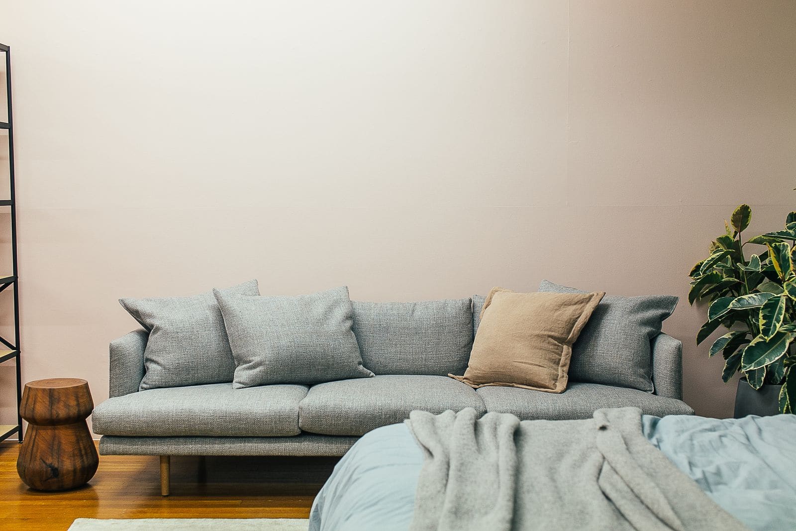 Sofa and bed in a contemporary studio apartment