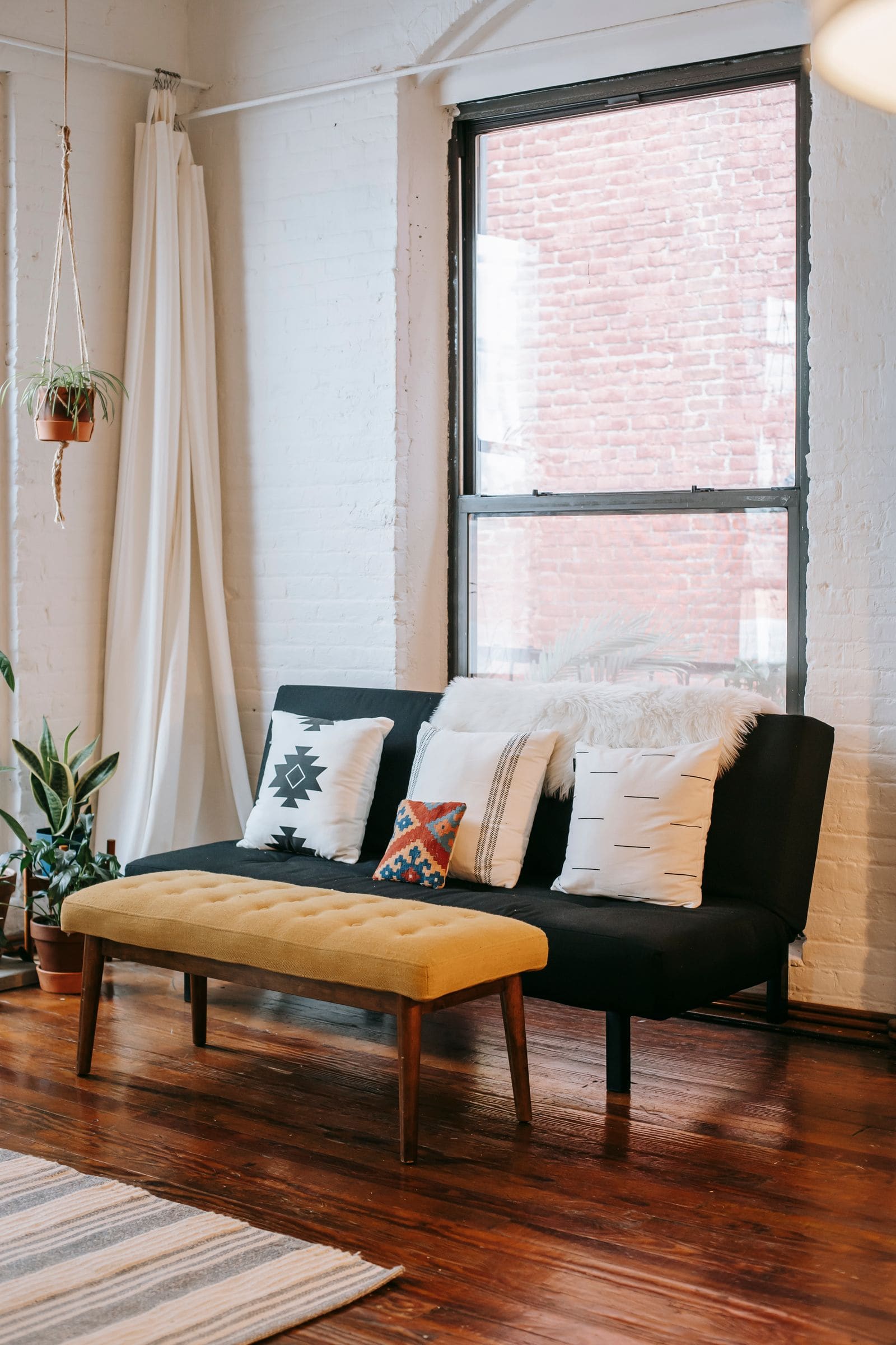 Living room with a cosy sofa, cushions and plants beside a sunlit window