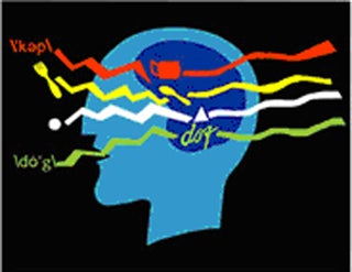 Advanced Natural Language Processing