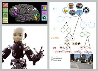 Brains, Minds and Machines Summer Course
