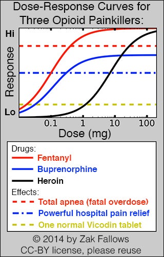Drugs and the Brain