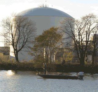 Environmental Struggles