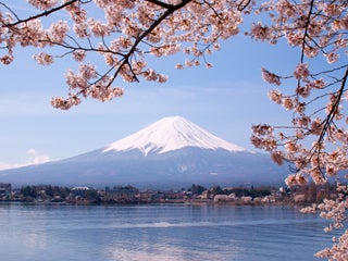 Japanese I