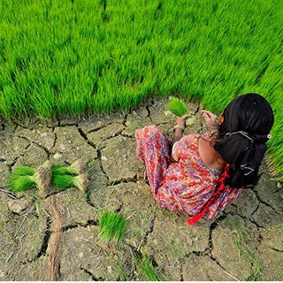 Land, Water, Food, and Climate