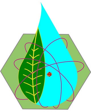 Nuclear Systems Design Project