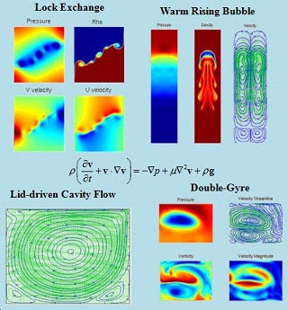 Numerical Fluid Mechanics