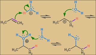 Organic Chemistry I