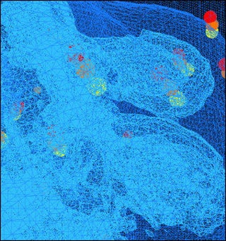 Perspectives in Biological Engineering