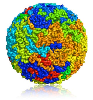 Statistical Physics in Biology